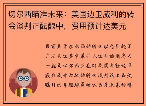 切尔西瞄准未来：美国边卫威利的转会谈判正酝酿中，费用预计达美元